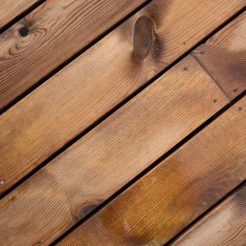 shutterstock_2031274229